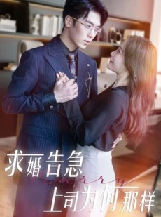 短剧《求婚告急上司为何那样》70集短剧全集无广告在线观看