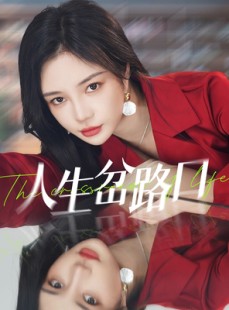 短剧《人生岔路口》30集短剧全集高清下载免费享