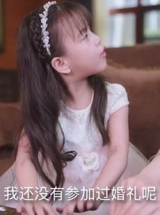 短剧《龙宝之巅》77集短剧全集在线观看无需会员