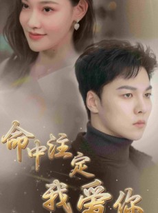 短剧《命中注定我爱你》75集短剧全集高清资源在线免费解锁