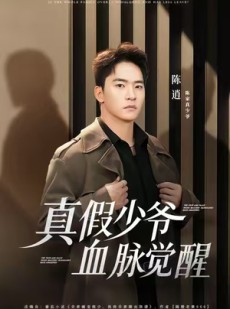 短剧《真假少爷血脉觉醒》63集短剧超清画质畅享全集观看