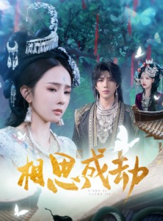 短剧《相思成劫》51集短剧完整版在线畅快观看