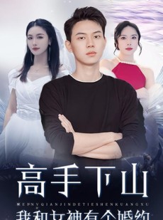 短剧《高手下山我和女神有个婚约》97集短剧超清画质免费畅看