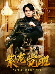 短剧《紫龙觉醒》89集短剧全集资源一键解锁观看