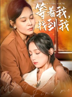 短剧《等着我，找到我》74集短剧高清版手机在线观看