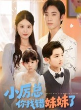 短剧《小厉总你找错妹妹了》52集短剧免费解锁全集观看