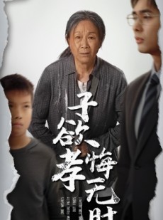 短剧《子欲孝悔无时》54集短剧1080P高清在线播放