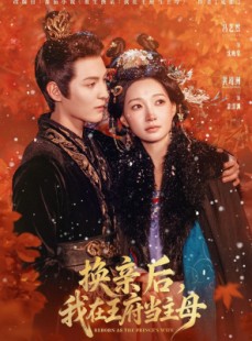 短剧《换亲后，我在王府当主母》80集短剧1080P超清免费在线看