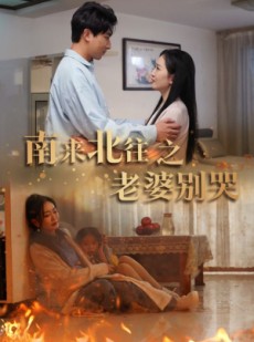 短剧《南来北往之老婆别哭》87集短剧高清流畅在线观看