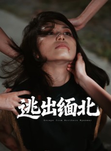 短剧《逃出缅北》62集短剧高清无删减版免费看