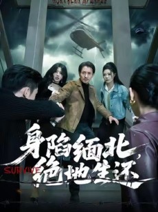 短剧《身陷缅北，绝地生还》70集短剧完整版在线免费观