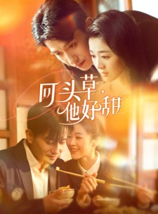 短剧《回头草，他好甜》80集短剧高清流畅在线免费观看