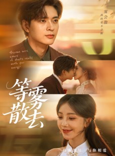 短剧《雾散情归处》75集短剧4K高清无删减免费看