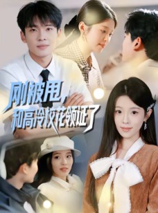 短剧《刚被甩，和高冷校花领证了》67集短剧全集1080P免费观