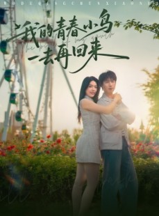 短剧《我的青春小鸟一去再回来》95集短剧蓝光画质独家免费观看