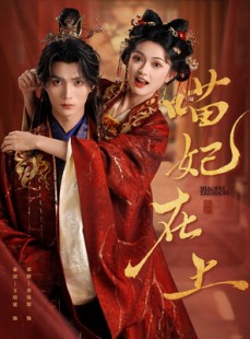 短剧《喵妃在上》64集短剧蓝光画质独家免费观看