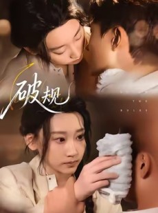 短剧《破规》80集短剧免费看完整部剧情