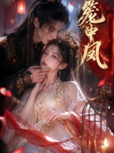 短剧《笼中凤》44集短剧免费看完整大结局