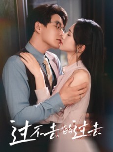 短剧《我用血肉去爱你》60集短剧1080P高清版在线观看