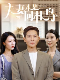 短剧《夫妻本是同林鸟》76集短剧1080P高清画质在线畅享