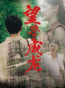 短剧《望子成龙》74集短剧全集在线极速播放