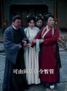 短剧《有钱没钱，抢个皇帝回家过年》73集短剧高清全集免费点播