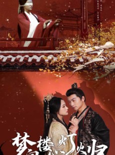 短剧《梦向楼心灯火归》37集短剧每日更新在线必看