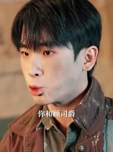 短剧《到此飞鸟不相逢》70集短剧无删减在线免费观看