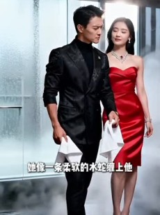 短剧《灯火阑珊应尽处》84集短剧免费观看全集不卡顿