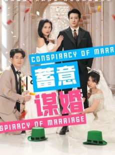 短剧《蓄意谋婚》30集短剧全集高清无删减观看