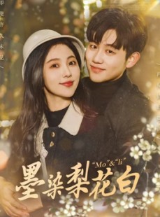 短剧《墨染梨花白》86集短剧高清流畅在线免费观看