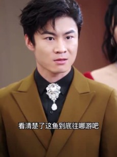 短剧《隐龙神婿》81集短剧高清版全集免费追剧