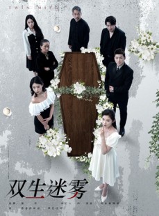 短剧《双生迷雾》80集短剧全集资源免费观看