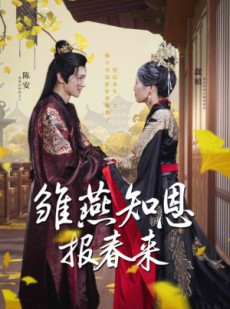 短剧《雏燕知恩报春来》36集短剧蓝光画质独家免费看