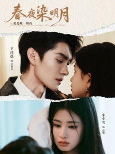 短剧《春夜染明月》48集短剧高清全集在线流畅播放