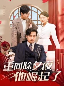 短剧《重回除夕夜他崛起了》89集短剧独家资源高清在线观看