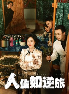 短剧《人生如逆旅》54集短剧1080P高清画质在线观看
