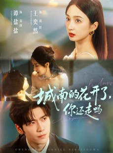 短剧《城南的花开了，你还走吗》84集短剧全集免费高清畅看