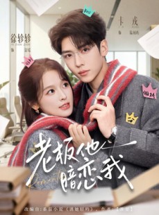 短剧《老板他暗恋我》73集短剧全集资源免费在线看