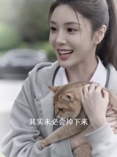 短剧《刺猬心动录：傲娇夫君现原形》59集短剧免费观看完整大结局