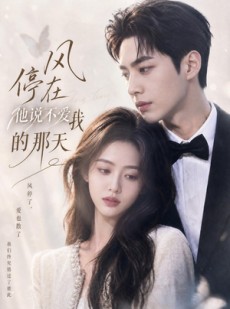 短剧《风停在他说不爱我的那天》40集短剧全集免费在线高清看