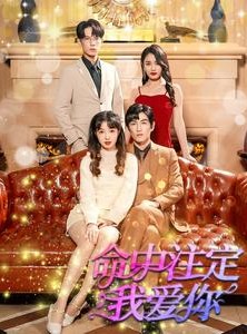 短剧《命中注定我爱你》99集短剧高清全集手机平板随时看