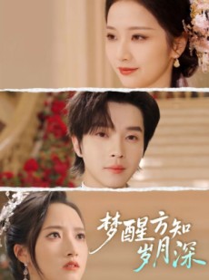 短剧《梦醒时你在我身侧》80集短剧免费看大结局版