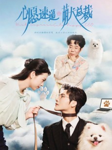 短剧《心愿速递之萌犬总裁》50集短剧在线解锁全集立即观看