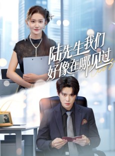 短剧《陆先生我们好像在哪见过》70集短剧极速播放全集体验