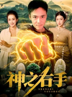 短剧《神之右手》100集短剧超清画质在线免费追