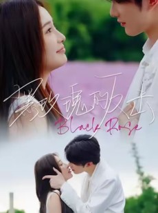 短剧《黑玫瑰的反击》47集短剧免费畅看完整剧情