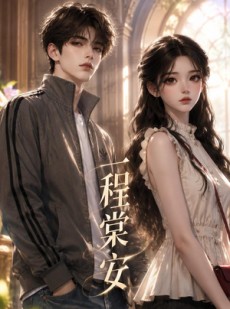 短剧《一程棠安》41集短剧1080P在线免费观全集