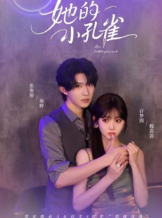 短剧《她的小孔雀》40集短剧高清全集手机免费看