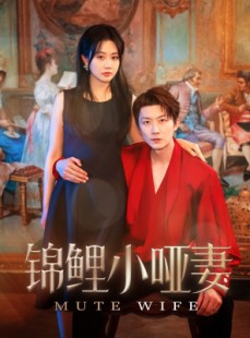短剧《锦鲤小哑妻》90集短剧1080P高清画质在线观看